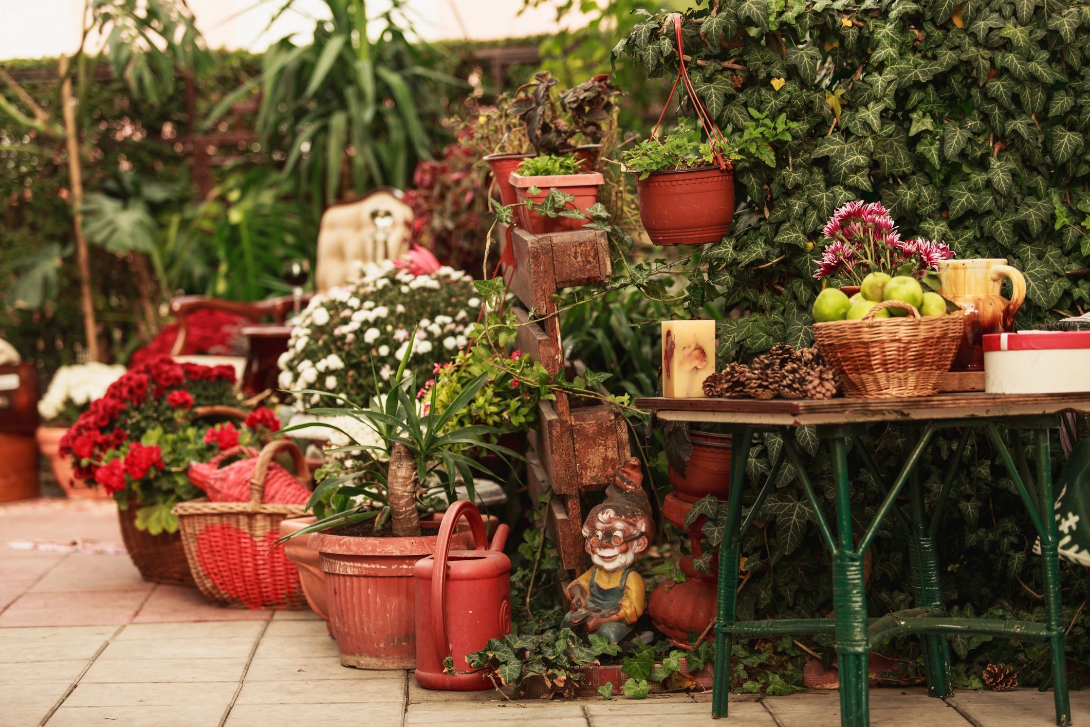 Flower shop garden display with a wide variety of blooms